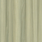Sarek Ash